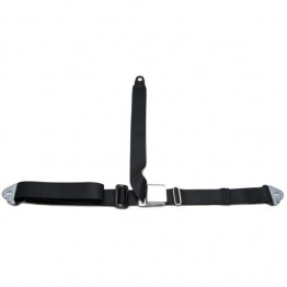 Classic Type Seat Belt 3 Point with Chromed Buckle