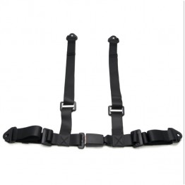 4 Point Harness