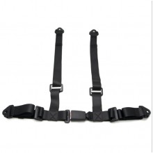 4 Point Harness