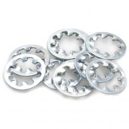 Internal Lock Washer - 5/16 in  - Packet of 10