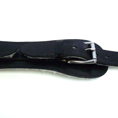 This is an image of a bonnet strap