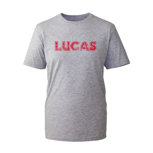 Lucas Distresd TShrt in Heather Grey