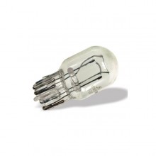 Bulb Capless 12V 21/5W