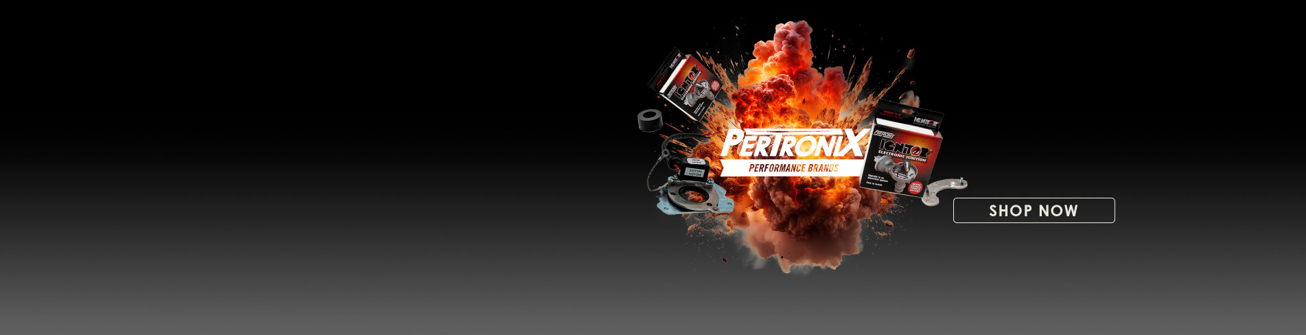 Pertronix Electronic Ignition
